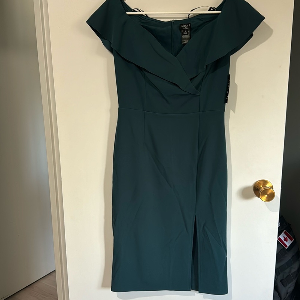 NWT Alexa B cocktail dress